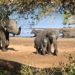 Adventure & Wild Life
