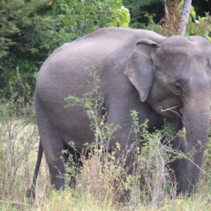 Adventure & Wild Life
